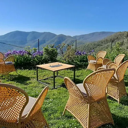 Appartamento Agriturismo Il Castellare Mit Pool Und Alpaka, Biohof Cortona
