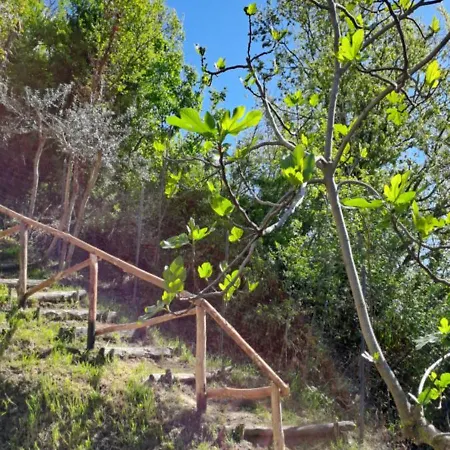 Agriturismo Il Castellare Mit Pool Und Alpaka, Biohof Appartamento *